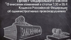 Ответственность участников за предоставление недостоверной информации