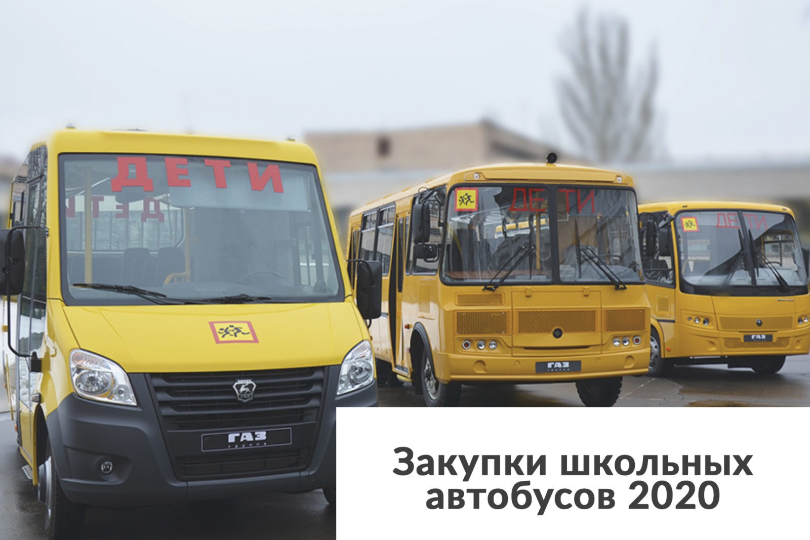 You are currently viewing Закупки школьных автобусов 2020