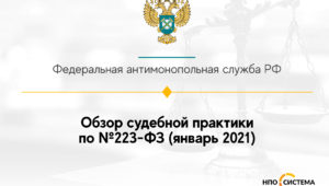 Обзор судебной практики по №223-ФЗ