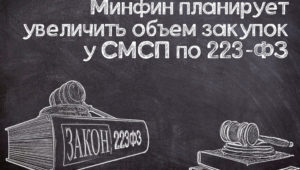 Увеличение объема закупок у СМСП по №223-ФЗ